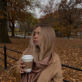 Louis Vuitton Shawl Brown Louis Vuitton Monogram Shawl Cappuccino (M75872) - Redeluxe
